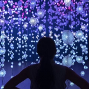 Photo of The Imani Immersive Gallery