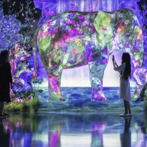 Photo of The Imani Immersive Gallery
