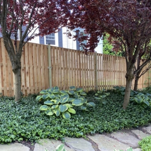 Photo of Benson Fence