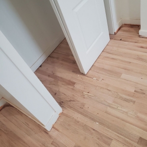 Photo of Y Not Flooring