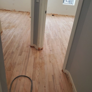Photo of Y Not Flooring
