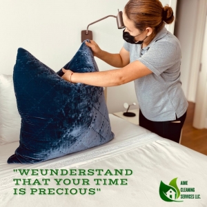 Photo of Aime Cleaning Services