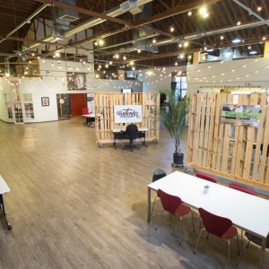Photo of Cultivated Synergy