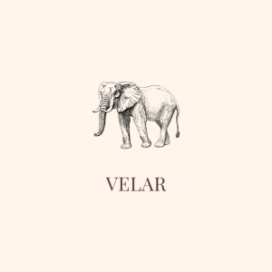 Photo of Velar Business Management