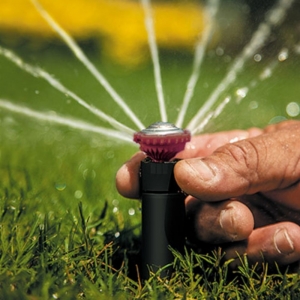 Photo of TLM Irrigation & Lighting