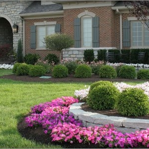 Photo of Jax Lawn Care
