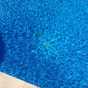 Photo of Nor Cal Pool Service
