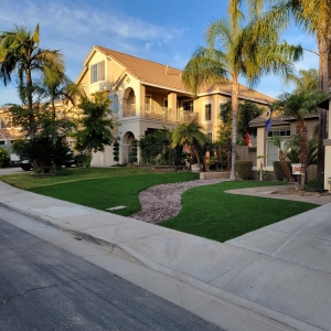 Photo of Tough Turtle Turf - Orange County