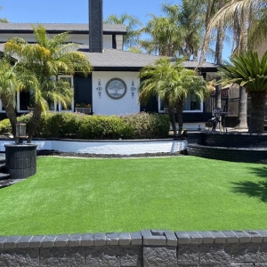Photo of Tough Turtle Turf - Orange County