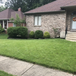 Avon HV Residential Services