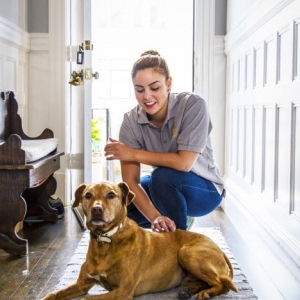 Photo of Affordable Cleaning Service