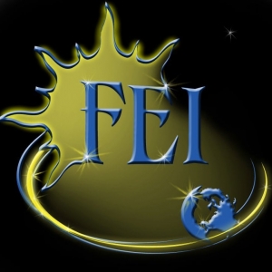 Photo of FEI Solar