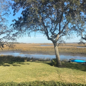 Photo of Gator Irrigation and Landscaping