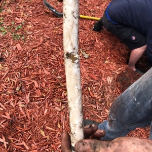 Photo of Gator Irrigation and Landscaping