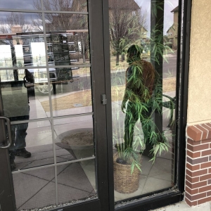 Photo of Windows & Glass Plus