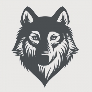 Fort Worth Law Office of Bonnie Wolf