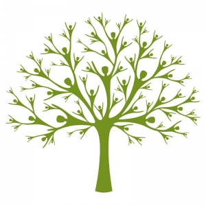 Photo of Ofilio Tree Service