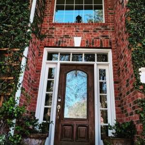 Photo of Organic Green Window Clean