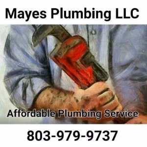 Photo of Mayes Plumbing