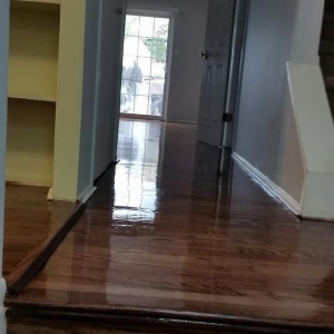 Photo of New Galaxy Floor