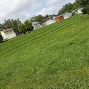Elkridge Tj Lawn Care And Power Washing