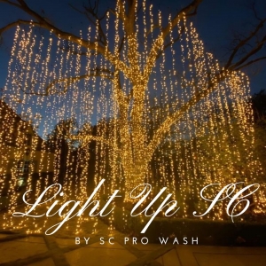 Photo of Light Up SC