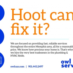 Photo of Owl Services