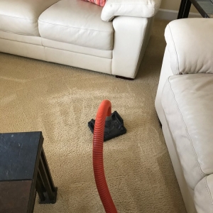 Photo of Jasmin Carpet Cleaning