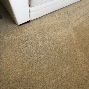 Photo of Jasmin Carpet Cleaning