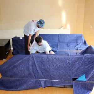 Photo of Brave Movers