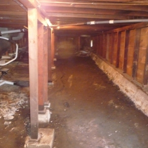 Photo of Alameda Structural
