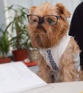Photo of Rivera Accounting & Tax