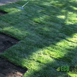Photo of Ecoscaping Landscape & Construction