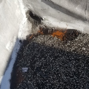 Photo of All Seasons Roofing