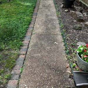 Photo of Green Clean Team
