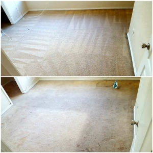 Photo of EcoClean Professional Floor Care