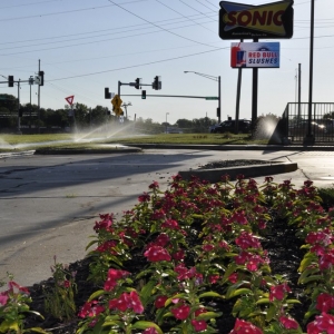 Photo of Blue Sparrow Lawn & Landscape