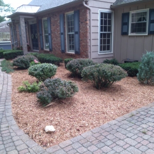 Photo of Blue Sparrow Lawn & Landscape