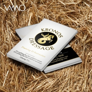 Photo of VAMO Studios