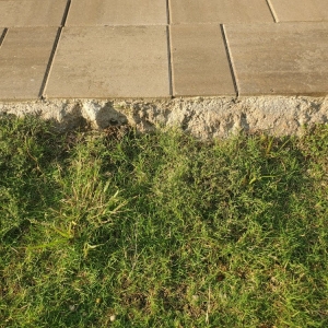 Photo of Dallas Outdoor Kitchens