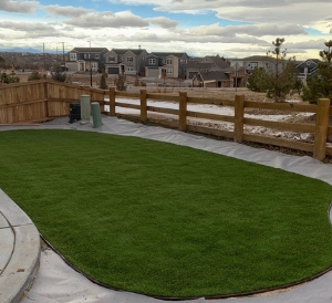Photo of Rampart Landscape and Arbor Service