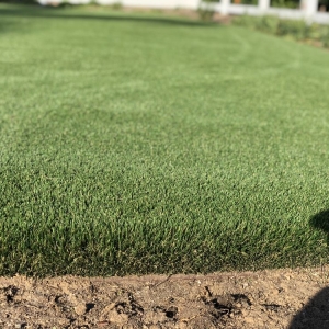 Photo of Socal Synthetic Lawns and Putting Greens