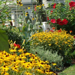 Photo of Maher & Greenwald Fine Gardens