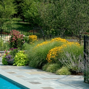 Photo of Maher & Greenwald Fine Gardens