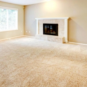 Photo of Palmetto Disinfecting & Sanitizing Plus Carpet Cleaning