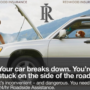 Photo of Redwood Insurance Agency