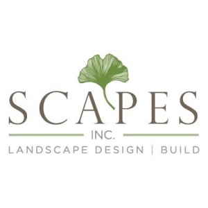 Photo of Scapes