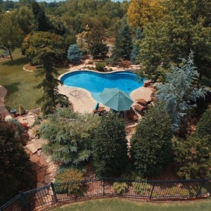Photo of Scapes