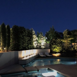 Photo of Scapes