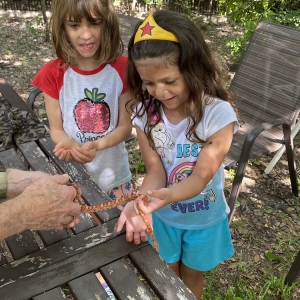 Photo of Learn Nature and Party Animals
